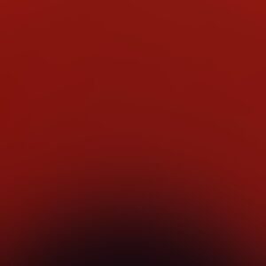 Meet your Posher, Bryce